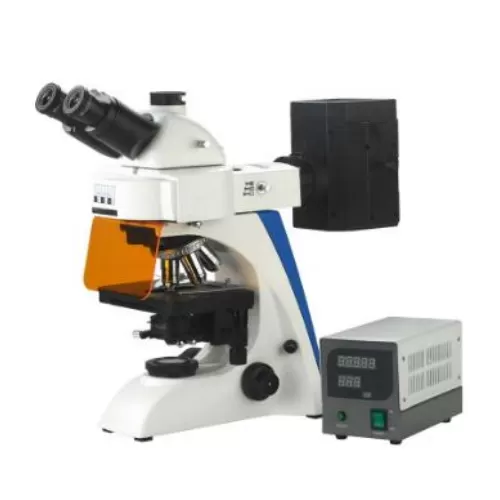 Fluorescent Microscope