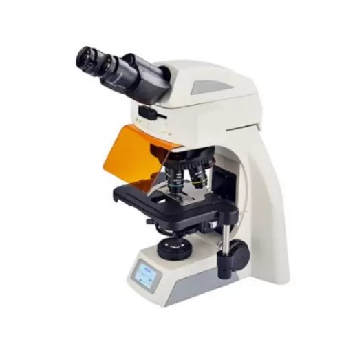 Fluorescent Microscope