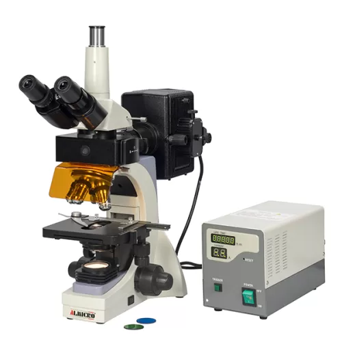 Fluorescent Microscope 