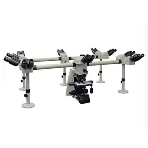 Deca Head Microscope