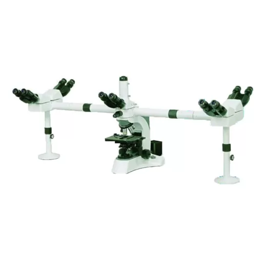 Penta Head Microscope