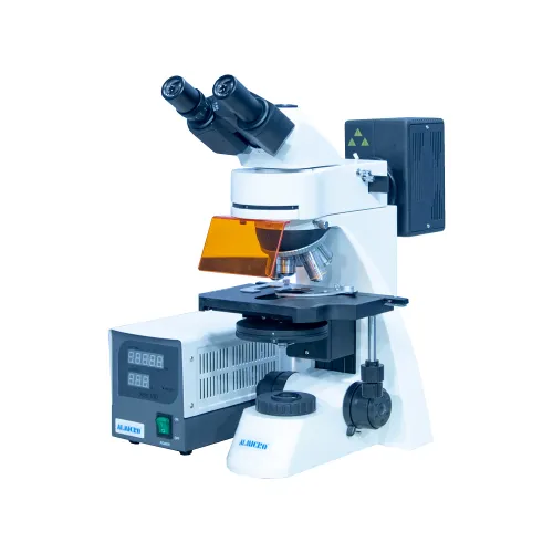 Fluorescence Microscope